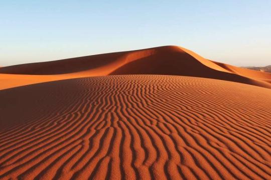 남꾸엉 사구는 닌투안 중심부에 자리한 매력적인 "미니 사막"입니다.
