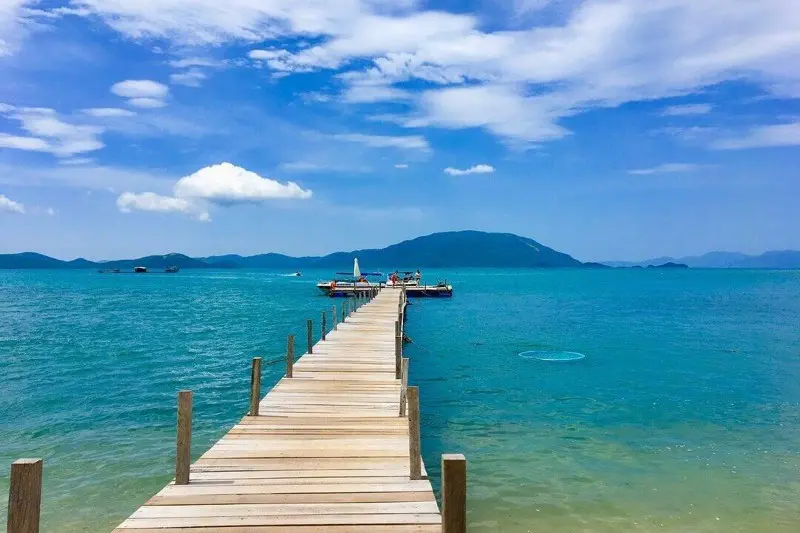 cay-cau-go-dao-diep-son-khanh-hoa-01