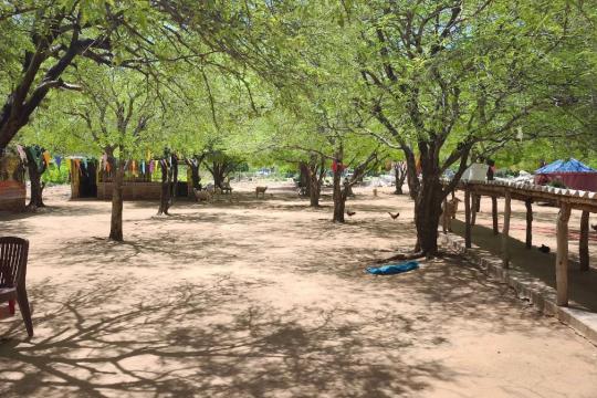 Đồng cừu An Hòa