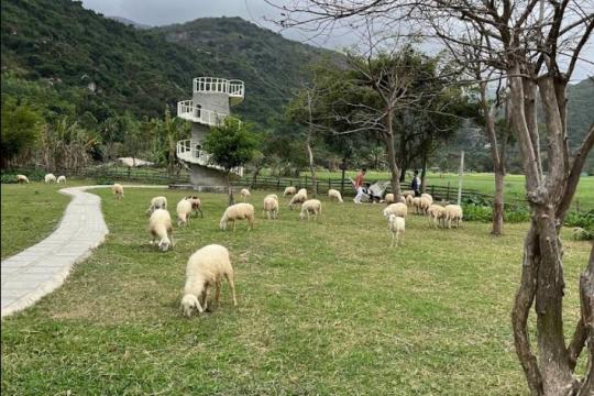 An Hoa Sheep Farm