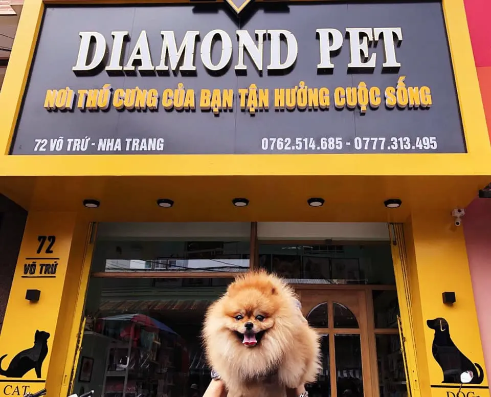 143257751_135610145062292_189714309994353686_n