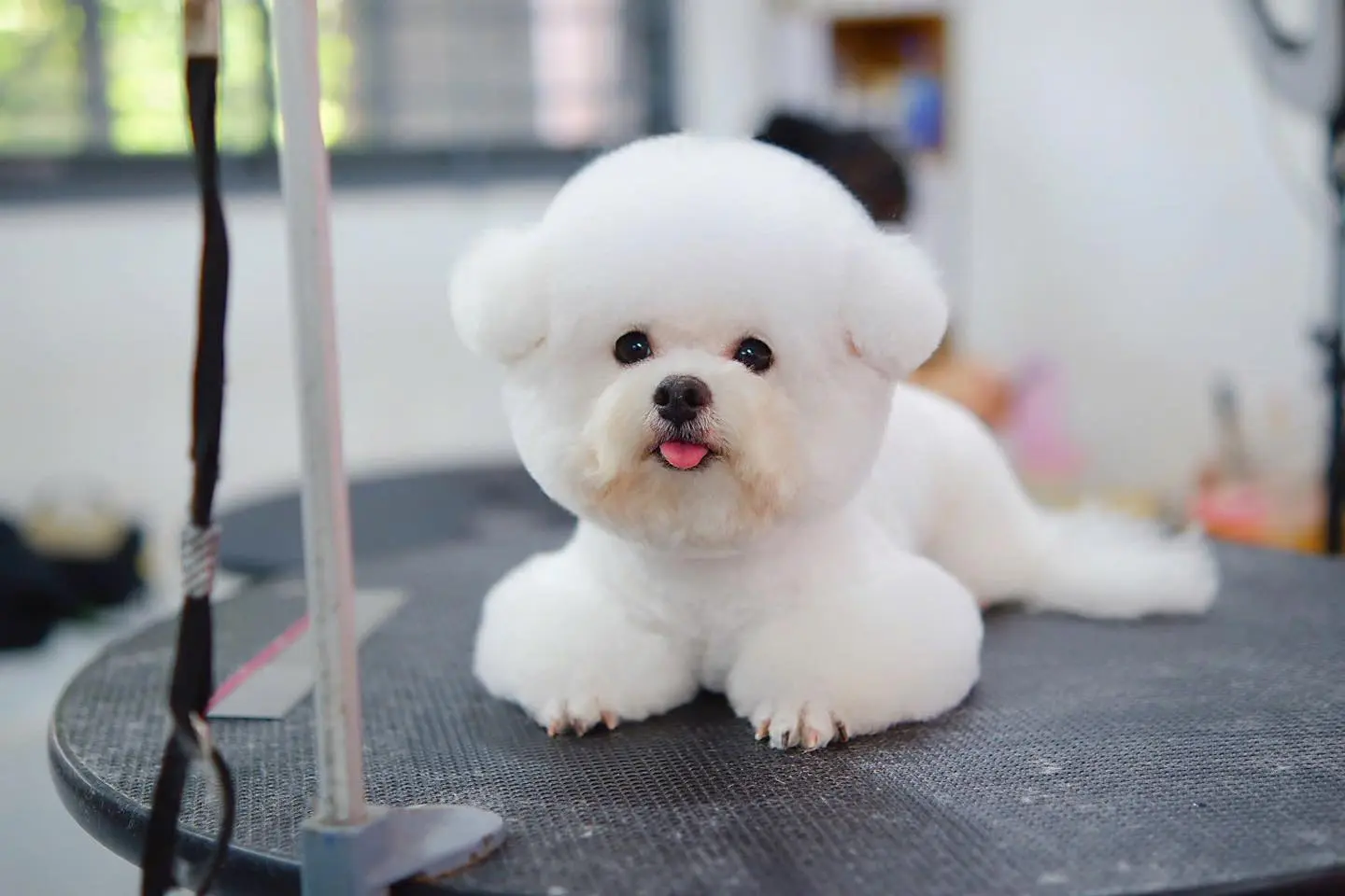 504964921_1186146120198264_125470822878897460_n