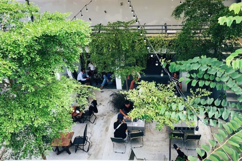 Top 10 quán cafe học bài ở Nha Trang – nơi “sạc tri thức” hiệu quả nhất