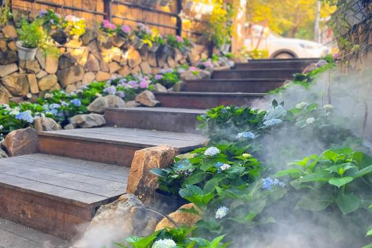 Tiệm Cà Phê Chuyện Của Mưa