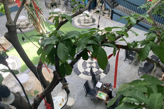 Hoa Biển Coffee