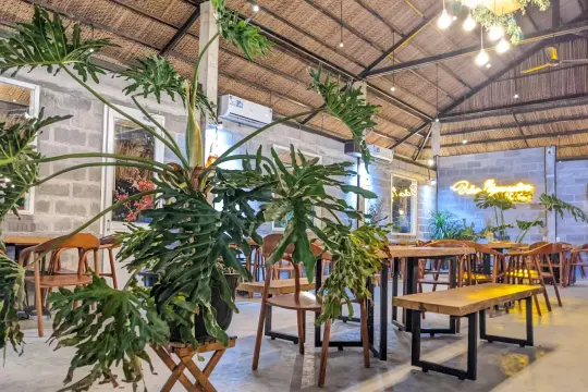 Bao Nguyen Coffee