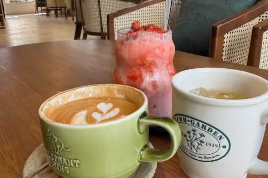 커피 빈(Coffee Bean) 판랑, 카인호아