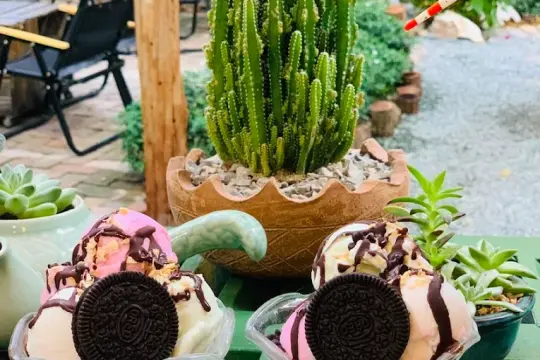 Nội Garden Ninh Chu Khanh Hoa
