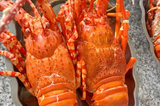 Quán nhậu THOA, KÌA