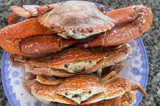 Quán Nhậu Nở Bé