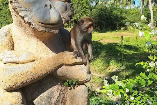 Откройте остров обезьян (Хон Лао)