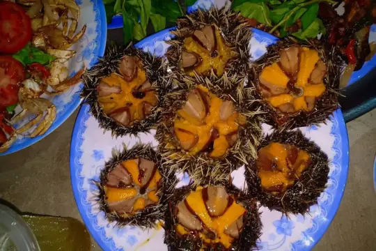 Quán Nhậu Nở Bé