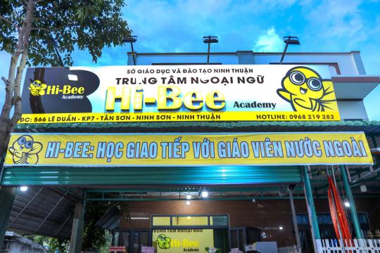 Hi-Bee Academy
