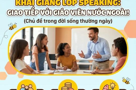 Hi-Bee Academy