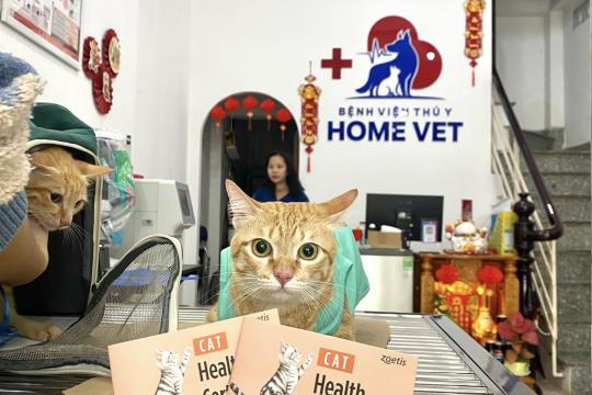 Bệnh viện Thú y Home Vet Nha Trang