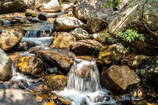 Suối Tiên Nha Trang