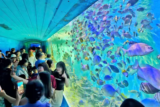 Viện Hải Dương Học Nha Trang