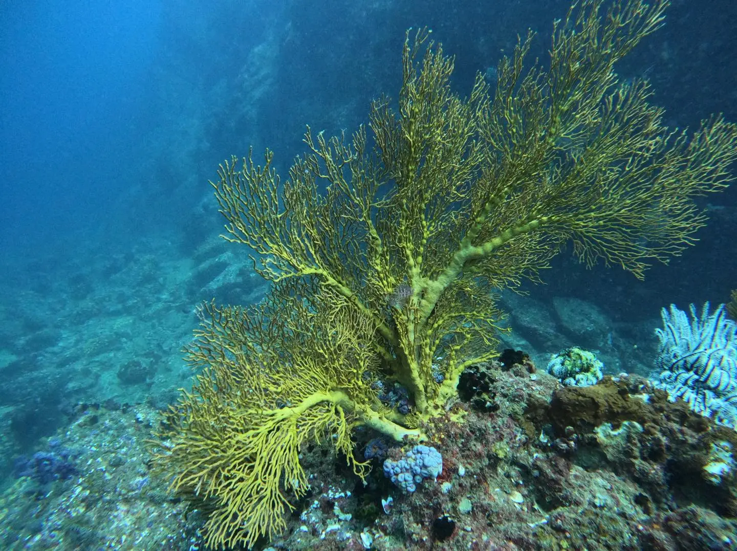 544989831_122253368630202393_8465295083210323310_n