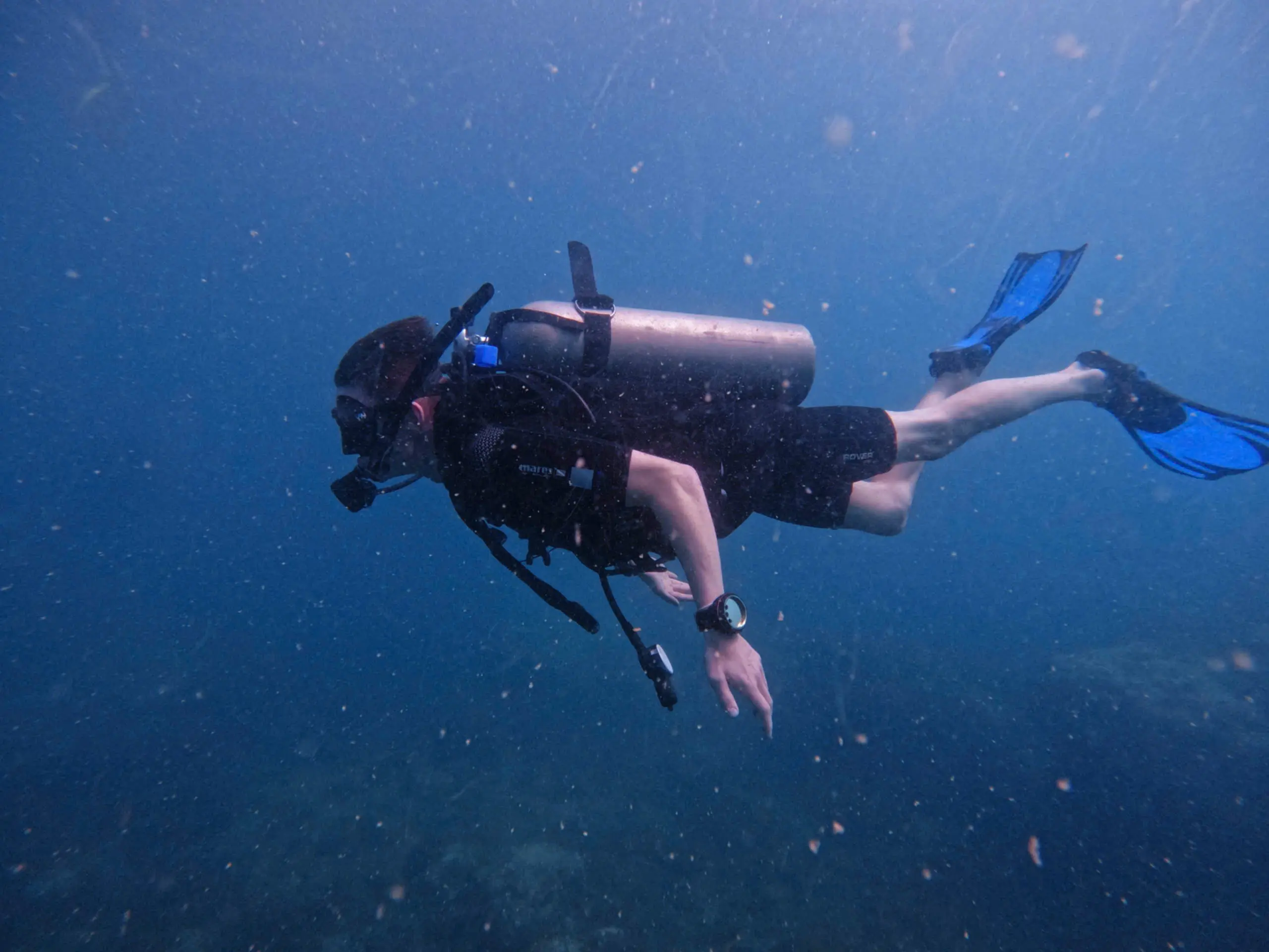 z7273885811517_796af3cbcc65c3b1ea40d936d1ff1a2d