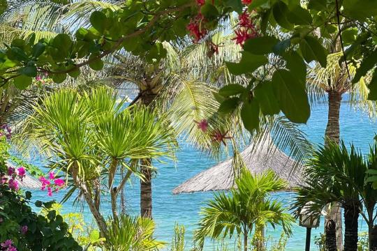 Hòn Ông Resort