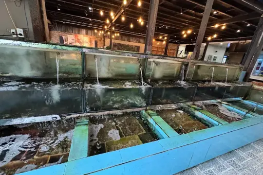 Bắc Vân Phong Restaurant