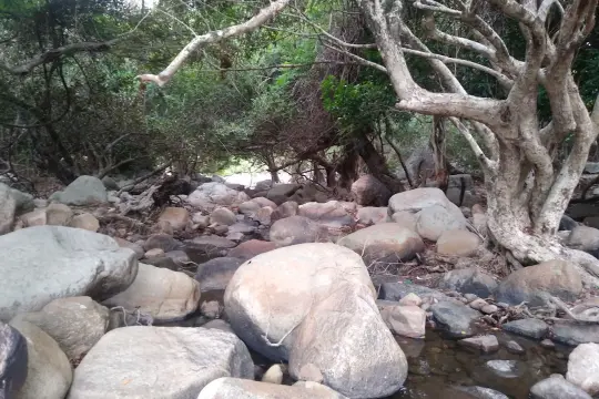 냐짱 로오 시내(Lo O Stream)