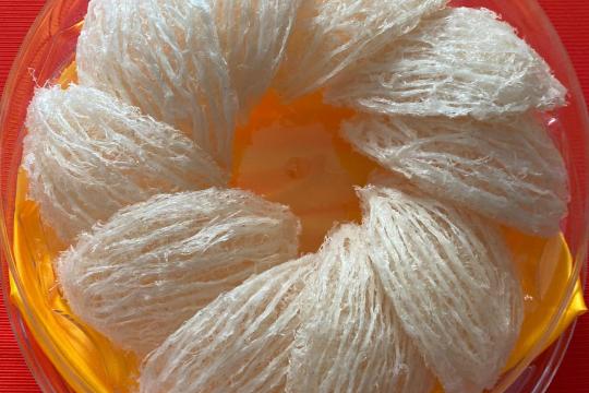 Yến Sào Ngọc Thảo Phan Rang