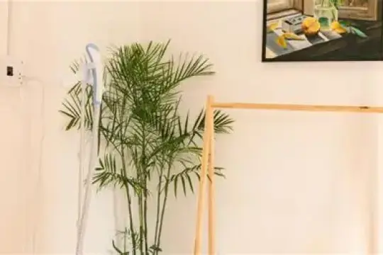 Nhà Yên Homestay Phan Rang