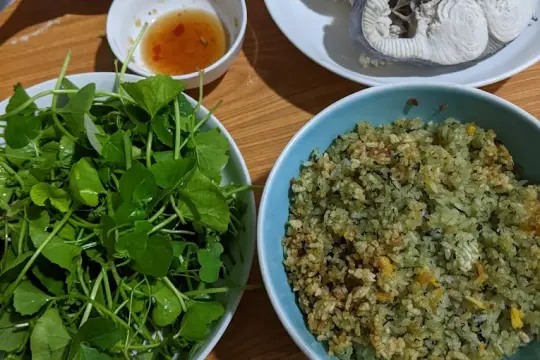 Quán Cơm Thu Vân