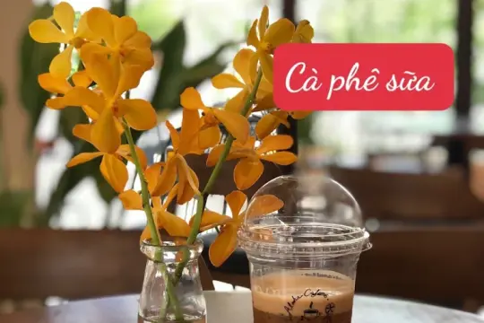 Aloha cafe Vạn Ninh