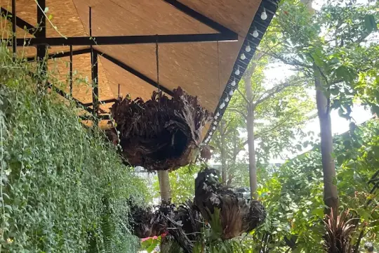 올림픽 커피