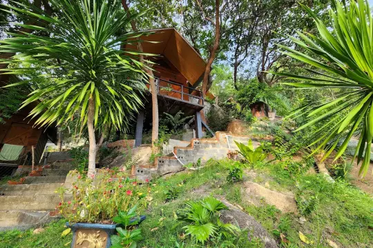Thanh Nhi Homestay